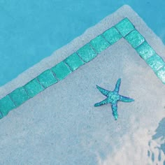 a starfish is sitting on the edge of a swimming pool, next to a tile border