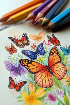 colored pencils are next to a drawing of butterflies