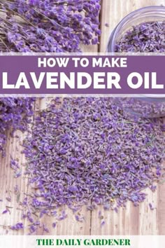 how to make lavender oil the daily gardener