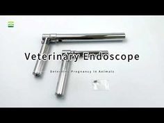 the veterinary endoscope is laying next to its contents