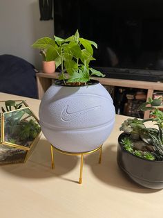 there is a white ball shaped planter on the table next to two small potted plants