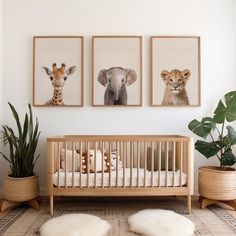 a baby's room with three animal prints on the wall