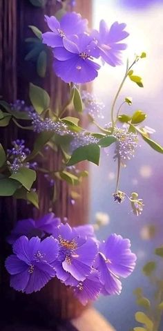 purple flowers are growing on the side of a wooden post in front of a window