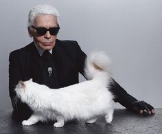 a man in a suit and sunglasses with a white cat on a black table next to him