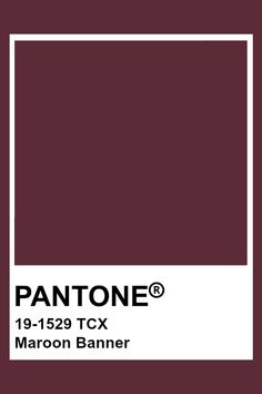 the pantone color is shown in maroon