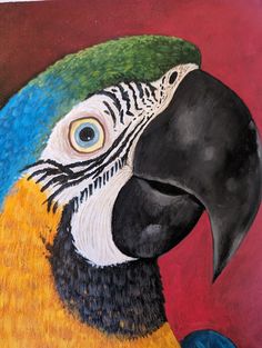 a painting of a colorful parrot with blue, yellow and green feathers on it's face