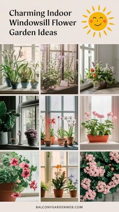 a bunch of flowers that are sitting in front of a window with the words charming indoor windowsill flower garden ideas