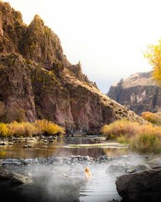 a dog is in the water near some rocks and trees with yellow leaves on them