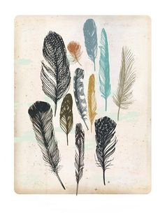 an illustration of different colored feathers on a white background with watercolor paint and ink