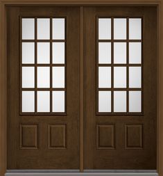 a double door with two sidelights and glass panels on the top, in dark wood