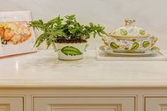 a potted plant sitting on top of a counter next to a book and other items