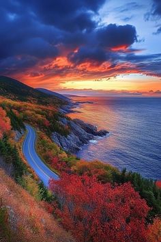 a scenic view of the ocean, road and trees with red leaves on them at sunset