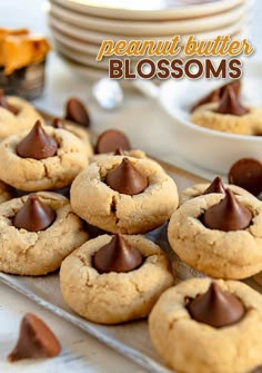 peanut butter blossom cookies on a tray with chocolate chips in the middle and more cookies behind them