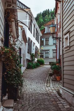 a cobblestone street lined with houses and potted plants on either side of the road