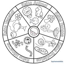 an animal wheel with different animals and their names in the center, as well as some other