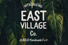 an image of a green leafy plant with the words east village co