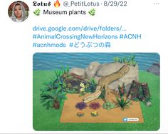 a tweet about an animal crossing in front of some rocks and plants on the ground