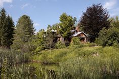 a house in the middle of a forest with lots of trees and grass around it