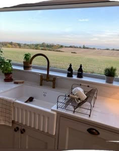 a kitchen sink sitting under a window next to a potted plant on top of a counter