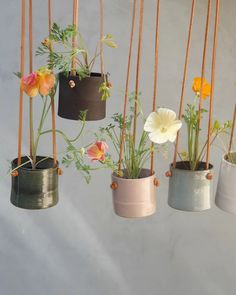 several pots with flowers hanging from them in the air and some plants growing out of them