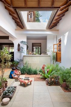 two people sitting in the middle of a room with lots of plants and potted plants