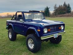 a blue truck parked on top of a lush green field