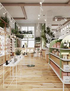 the inside of a store with shelves and plants