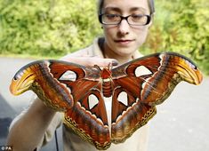 a man holding up a large butterfly in front of his face