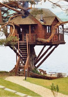 a tree house built into the side of a body of water with stairs leading up to it