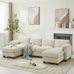 a living room with a couch, chair and dog sleeping on the rug in front of it