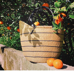 an orange tree in the background and a basket with fruit on it