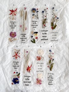 a sheet of paper with different types of flowers and words written in each section on it