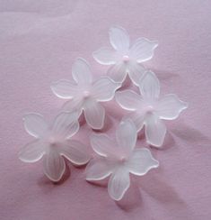 four white flowers are sitting on a pink surface