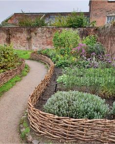 a garden filled with lots of plants next to a brick wall and walkway in front of a building