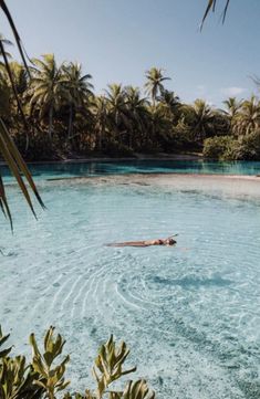 a person swimming in clear blue water surrounded by palm trees