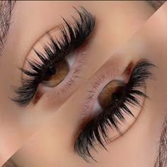 Perfect Eyelashes, Eyelash Extentions, Wispy Lashes, Makeup Eyelashes, Fake Lashes, Volume Lashes, Lash Artist, Black Ink Tattoos, Lash Extensions