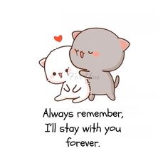 two cats hugging each other with the caption always remember, i'll stay with you forever