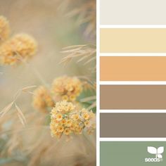 the color scheme is neutral and has yellow flowers in it, with brown tones on each side