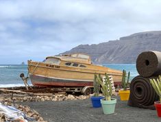 there is a boat on the beach next to some plants and other things in pots