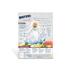 18” x 24” Laminated Discover the many roles and functions water plays within the human body with the Water: The Foundation of a Healthy Body Poster. This colorful, eye-catching poster highlights water’s role in the body by pointing out the location and the benefit on a chart of the human body–from head to toe.The poster also highlights ways to make water more appealing, including trying unsweetened sparkling water, tracking your intake on an app, carrying a reusable bottle, enjoying foods with h Healthy Food List, Health Lessons, Healthy Eating For Kids, Video Games For Kids, Health Snacks, Kids Diet, Health Drink