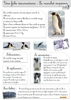 a page with penguins and other animals on it's side, including the words in french