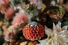 a wedding ring sitting on top of an orange flower surrounded by other flowers and greenery