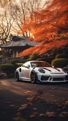 a white sports car is parked in front of some trees with orange leaves on it