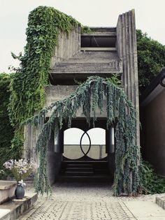 the entrance to an old building with vines growing on it's walls and windows