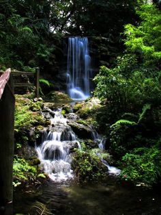 a small waterfall in the middle of a forest