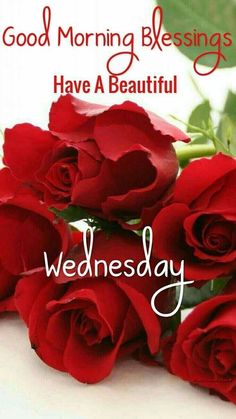 some red roses on a table with the words good morning messages have a beautiful wednesday