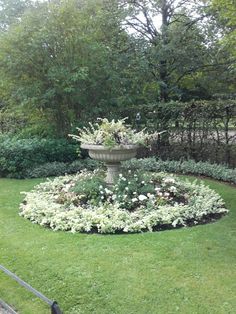 a garden with white flowers in the center