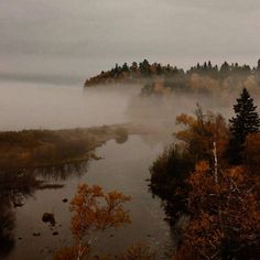 a river surrounded by trees in the fog