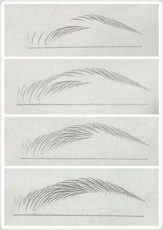 three different types of hair drawn in pencil