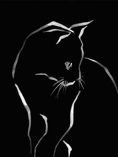 a black and white cat on a black background with the words, ` person'written below it